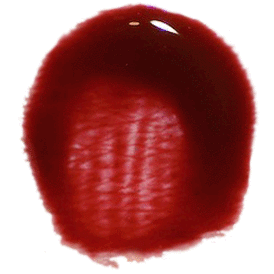 Ellis Faas Lipstick Sheer Berry/L303 Ellis Faas Glazed Lips Lipstick Gloss