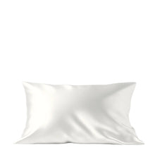 Honeylux Pure Organic Silk Queen Pillowcase