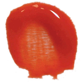 Ellis Faas Lipstick Sheer Orange/L304 Ellis Faas Glazed Lips Lipstick Gloss